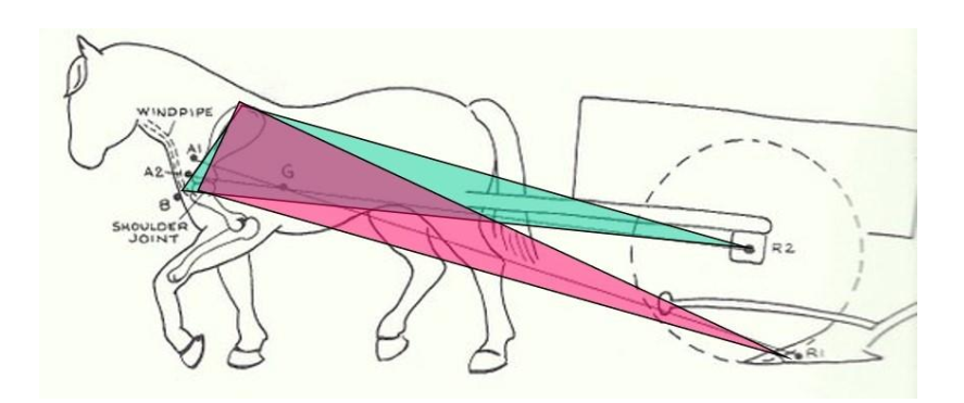 Hay is for Horses: Making and Using a Traditional-Style Irish